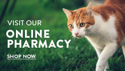 Online Pharmacy Banner